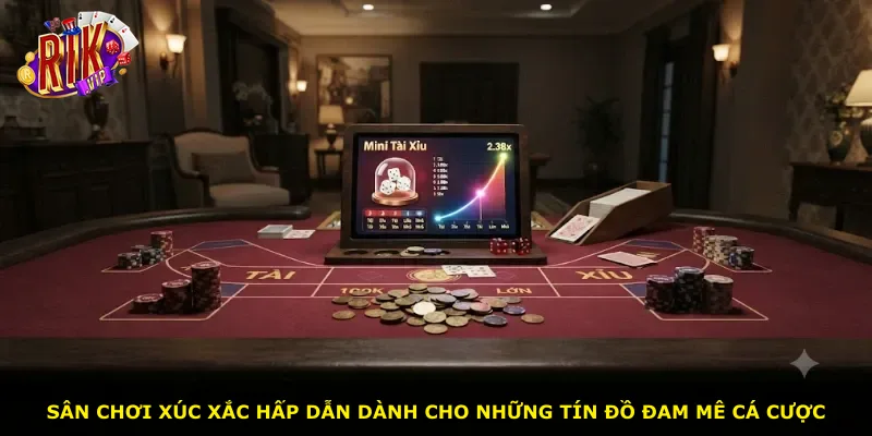 Sân chơi xúc xắc hấp dẫn dành cho những tín đồ đam mê cá cược